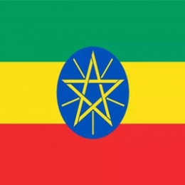 出口埃塞俄比亚-PCA